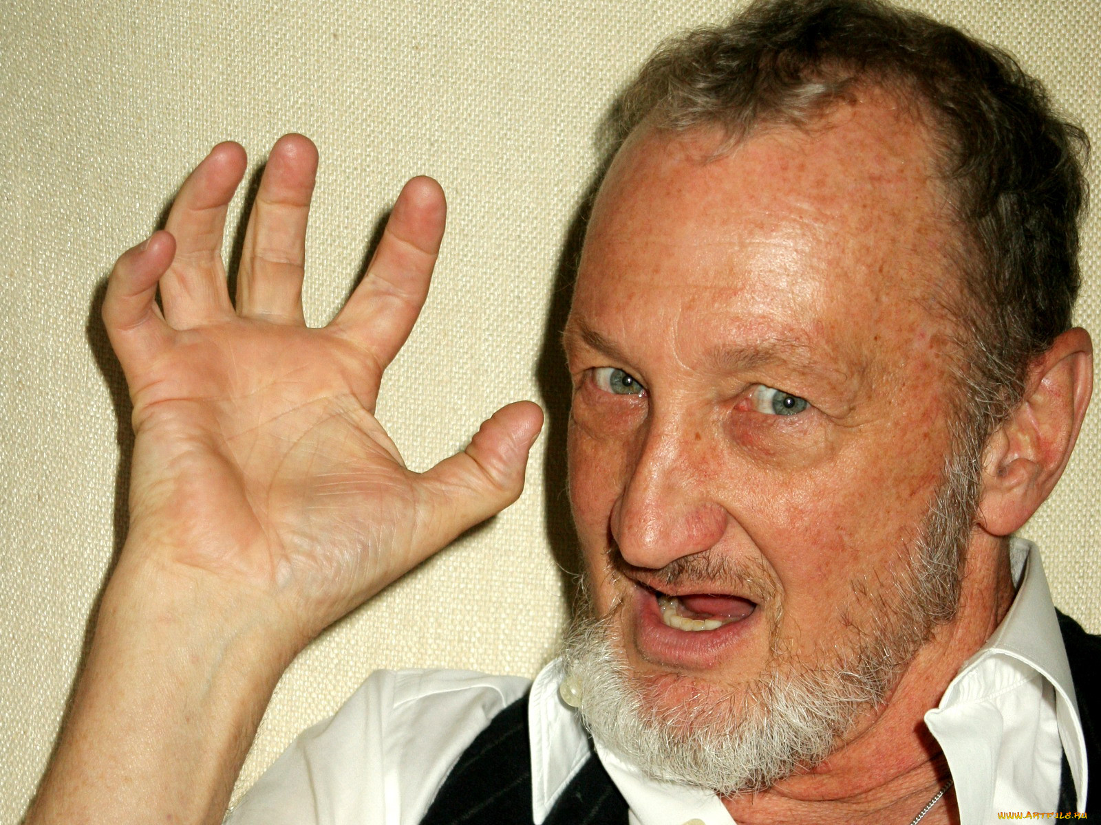 robert, englund, 